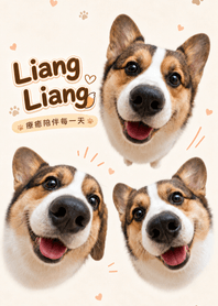 大鼻子亮亮 LINE 主題封面