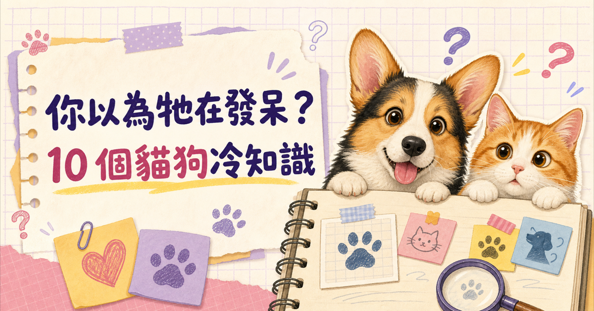 柯基和貓咪一起研究十個貓狗冷知識的手帳風插畫
